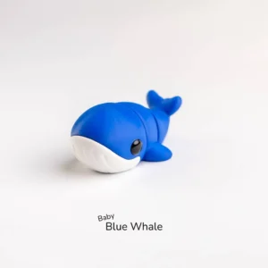 Baby Blue Whale