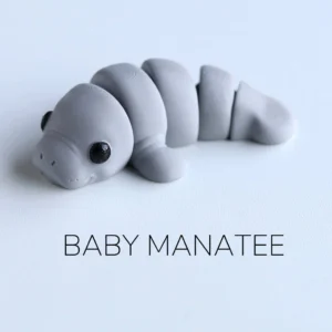 Baby Manatee