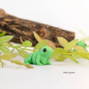 Baby leguan