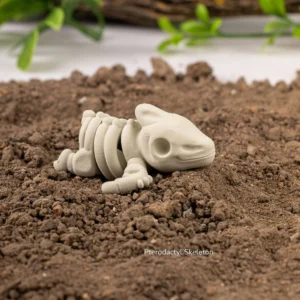 Baby Pterodactyl Skeleton