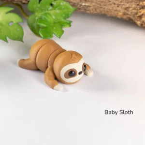Baby Sloth