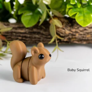 Baby Squirrel