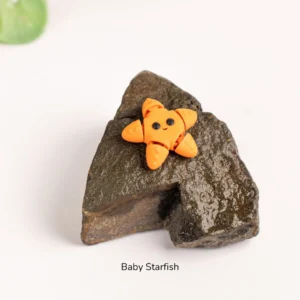 Baby StarFish