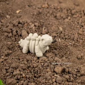 Baby Stegosaurus Skeleton